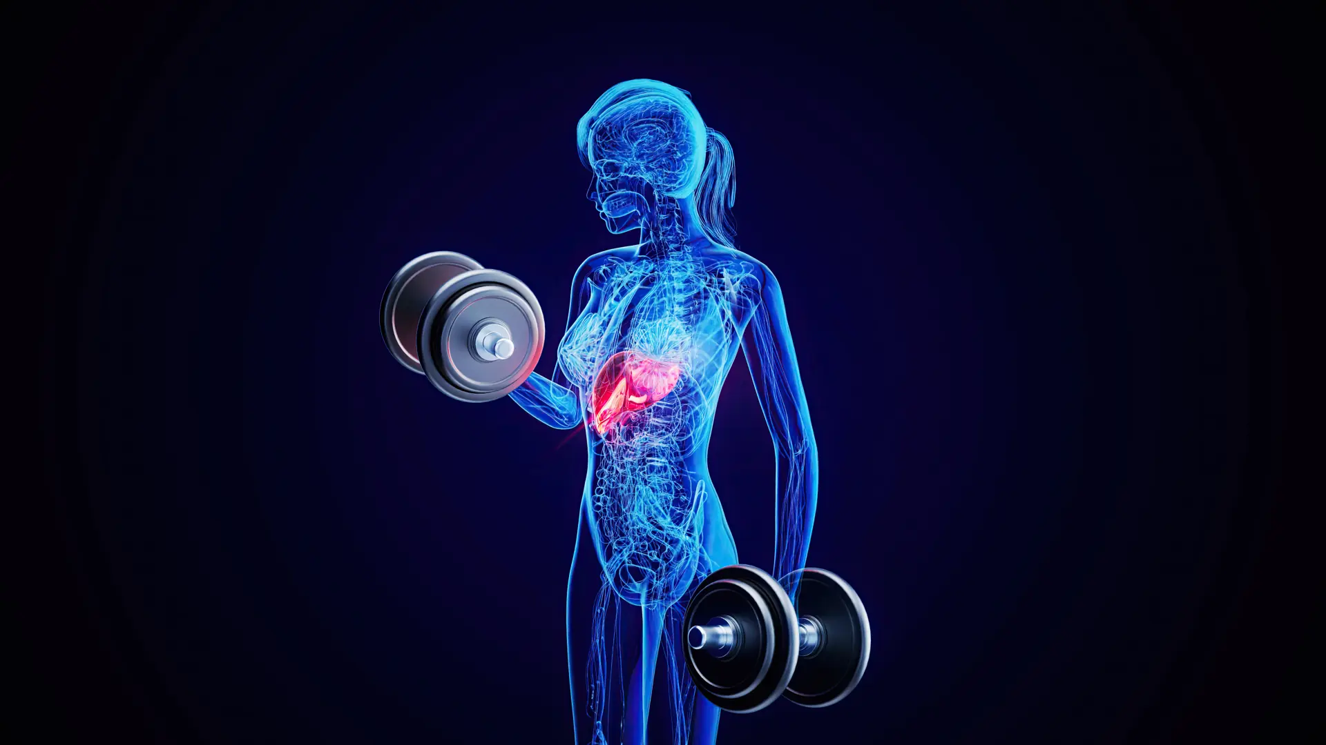 Representação anatômica da performance metabólica e da ação peptídica no corpo